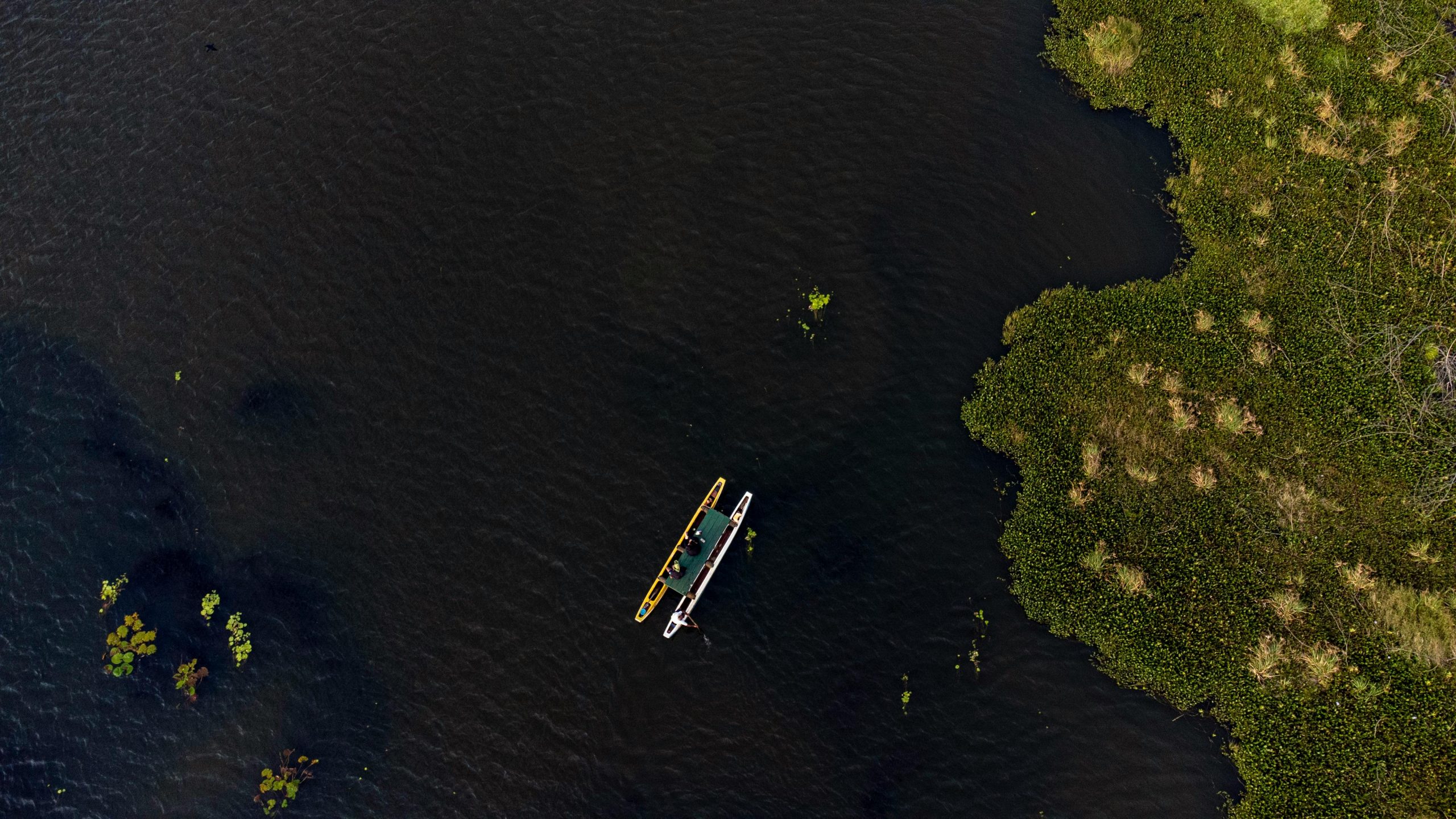 pexels-photo-32601896-32601896