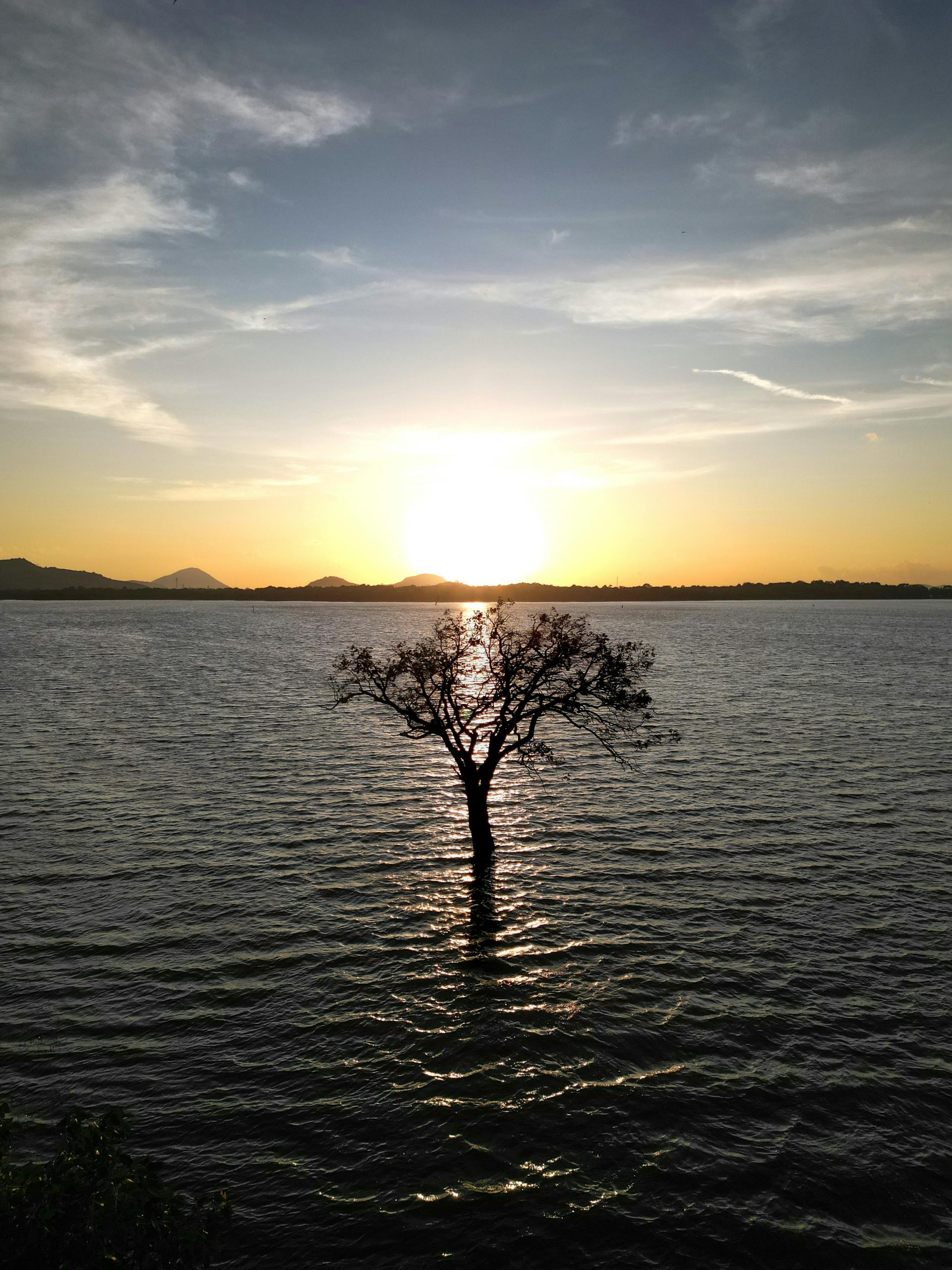 pexels-photo-33099464-33099464