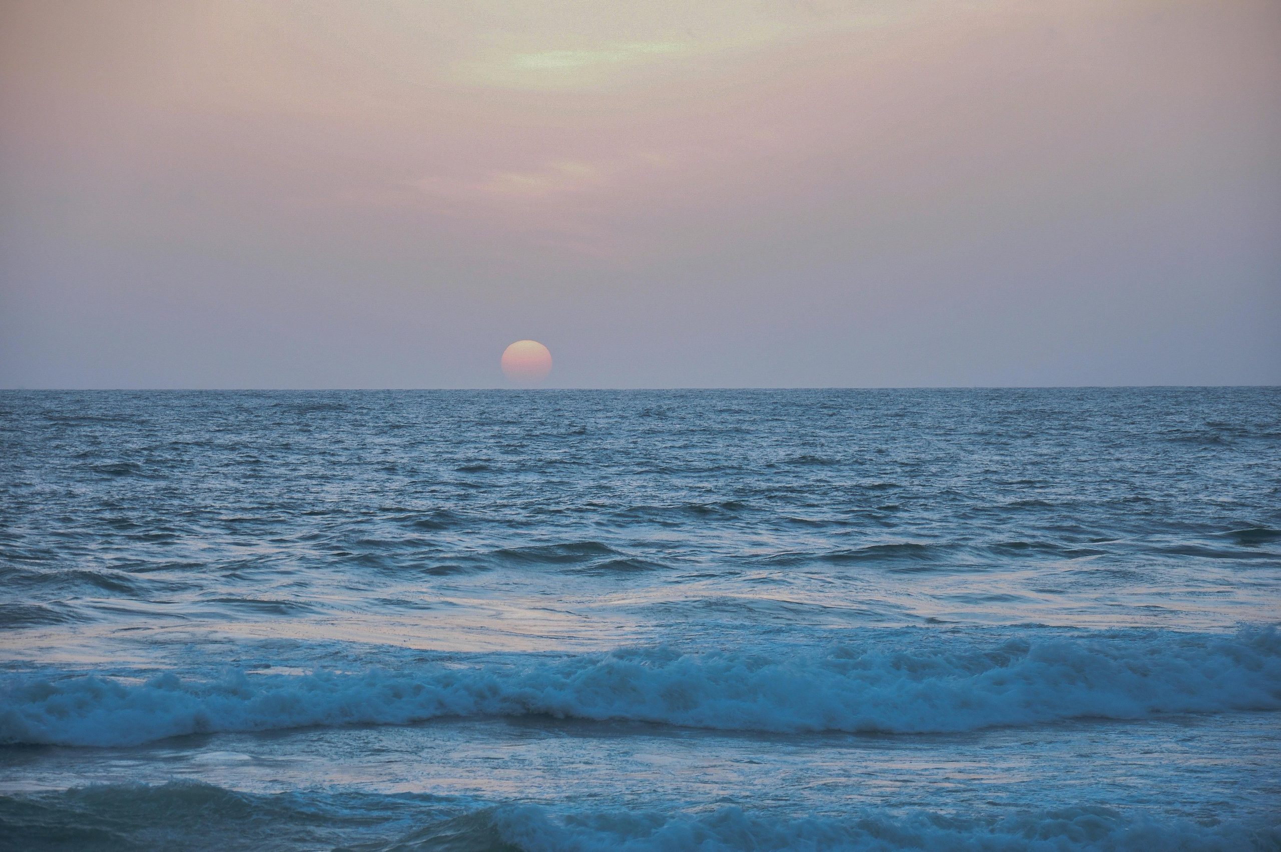 pexels-photo-16910619-16910619