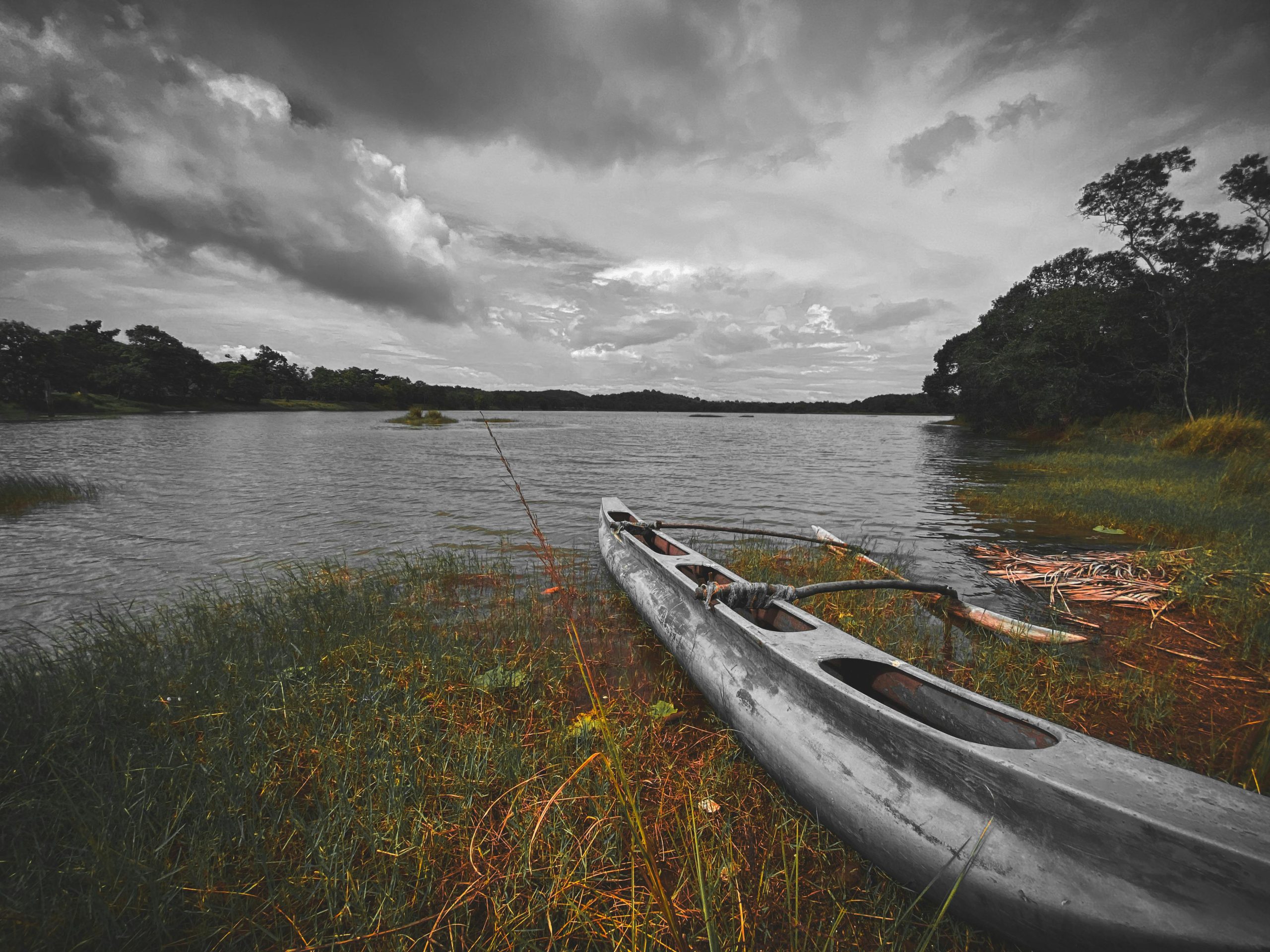 pexels-photo-29461997-29461997