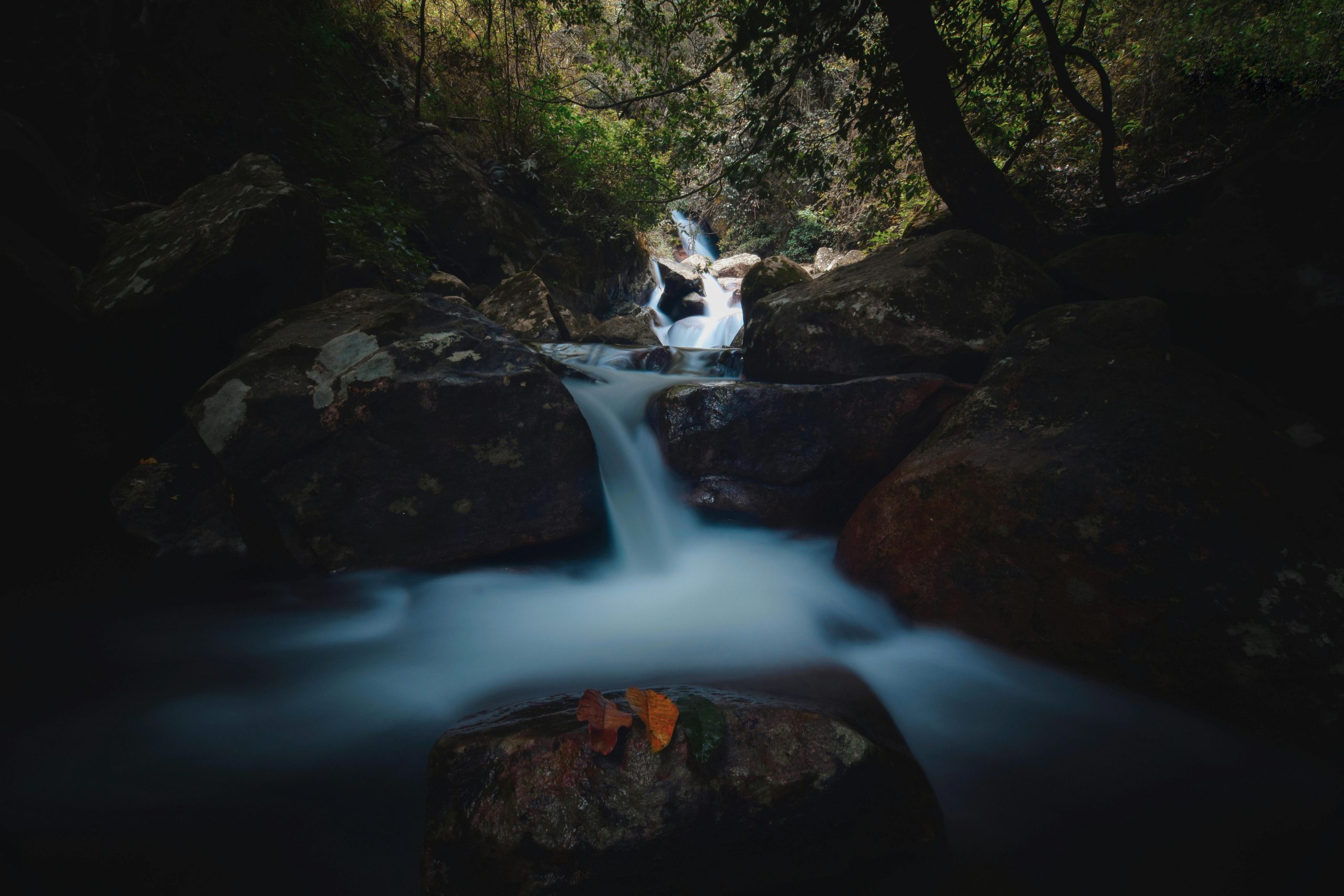 pexels-photo-29757645-29757645